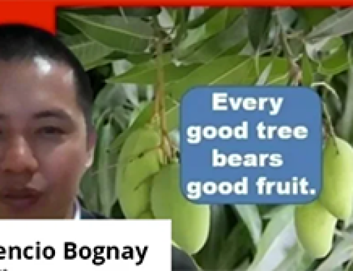 Gospel Reflection Wednesday (22 June) – 12th week Ordinary Time – Every good tree bears good fruit