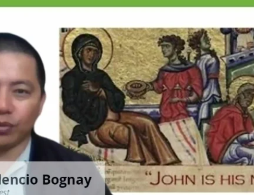 Gospel Reflection Saturday (25 June) – 12th week Ordinary Time – Nativity of St John the Baptist