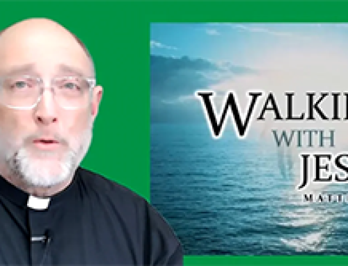 Gospel Reflection Tuesday – 18th week Ordinary Time – Jesus walks on water