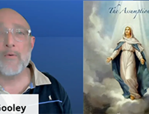 Gospel Reflection- Monday (15 August) – 20th week of Ordinary Time – The Assumption of our Lady