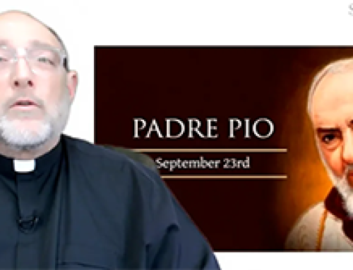 Gospel Reflection- Friday (23 September) – 25th week of Ordinary Time – St Padre Pio