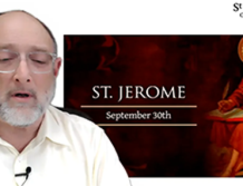 Gospel Reflection- Friday (30 September) – 26th week of Ordinary Time – Saint Jerome