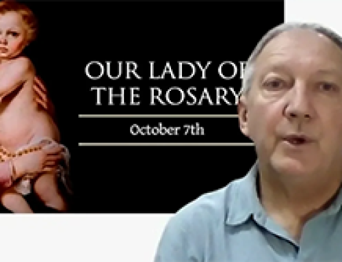 Gospel Reflection- Friday (7 October) – 27th week of Ordinary Time – Our Lady of the Rosary