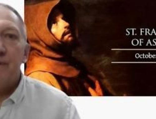 Gospel Reflection- Tuesday (4 October) – 27th week of Ordinary Time – St Francis of Assisi