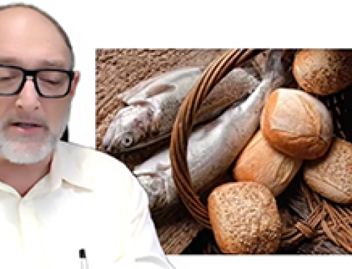 Gospel Reflection for Friday in 2nd Week of Easter – Jesus provides the food we need