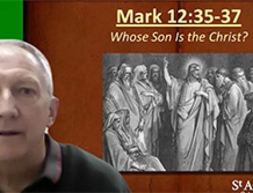 Gospel Reflection – Friday 9th Week of Ordinary Time (9 June) – Whose son is the Christ?