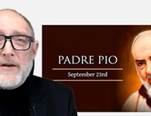 Gospel Reflection – Saturday (23 September) – 24th week of Ordinary Time – St Padre Pio