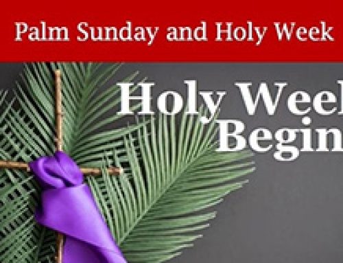 Holy Week begins with PALM Sunday – Fr Paul explains the significance and history