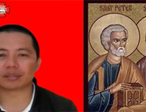 Gospel Reflection – Saturday 12th Week of Ordinary Time Unique Encounter – Sts Peter and Paul