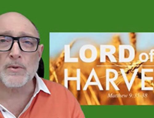 Gospel Reflection – Tuesday 14th Week of Ordinary Time – Lord of the Harvest