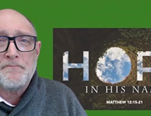 Gospel Reflection – Saturday 15th Week of Ordinary Time – Hope in His name