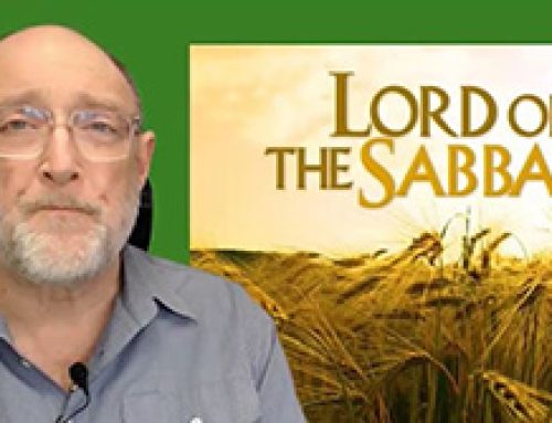 Gospel Reflection Saturday 22nd Week Ordinary Time – The Lord of the Sabbath