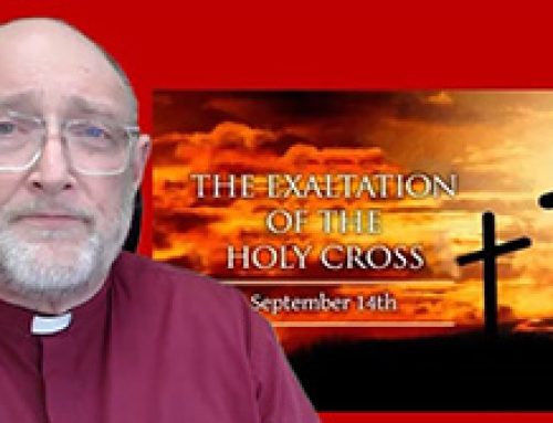 Gospel Reflection 14 September – The Exaltation of the Cross