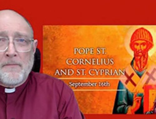 Gospel Reflection 16 September – Saints Cornelius and Cyprian