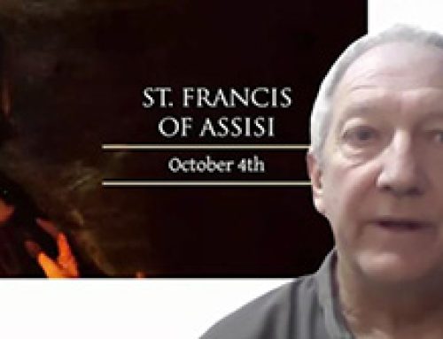 Gospel Reflection 4 October – St Francis of Assisi