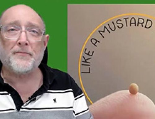 Gospel Reflection Tuesday 30th Week in Ordinary Time – Like a mustard seed