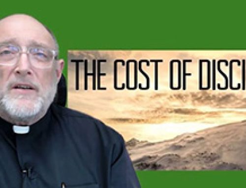 Gospel Reflection – Wednesday 31st Week Ordinary Time – The cost of discipleship