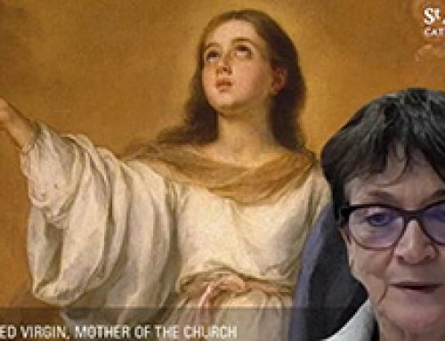 Gospel Reflection – Blessed Virgin Mary, Mother of the Church