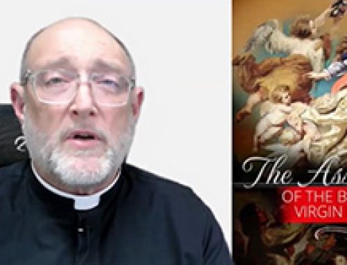 Gospel Reflection –  Feast of the Assumption of the Blessed Virgin Mary – 15 August