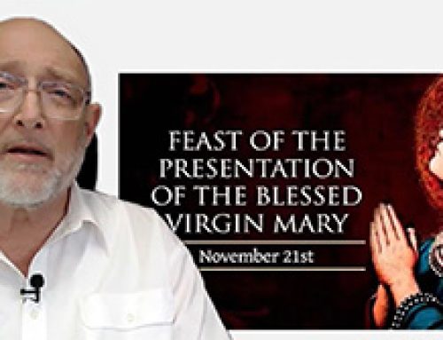 Gospel Reflection – Presentation of the Blessed Virgin Mary – 21 November