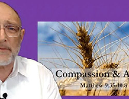 Gospel Reflection – Saturday 1st Week of Advent – Compassion & Action