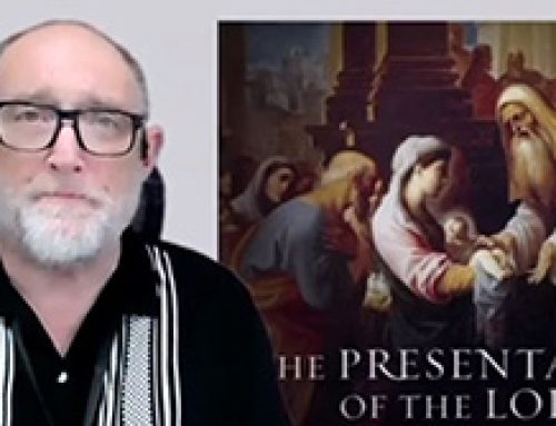 Gospel reflection – 2 February – The presentation of the lord
