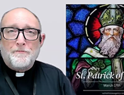 Gospel reflection – 17 March – St Patrick
