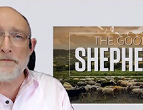 Gospel reflection – Monday in the 4th week of Easter – The Good Shepherd