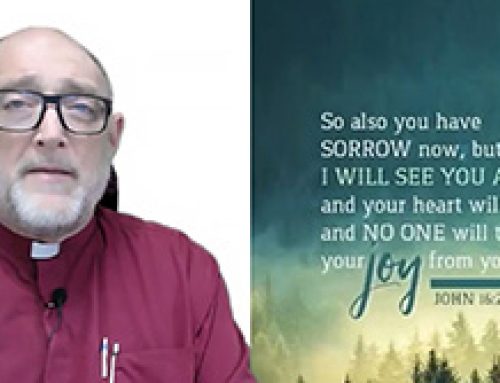 Gospel Reflection – Friday 6th Week of Easter – Your heart will rejoice